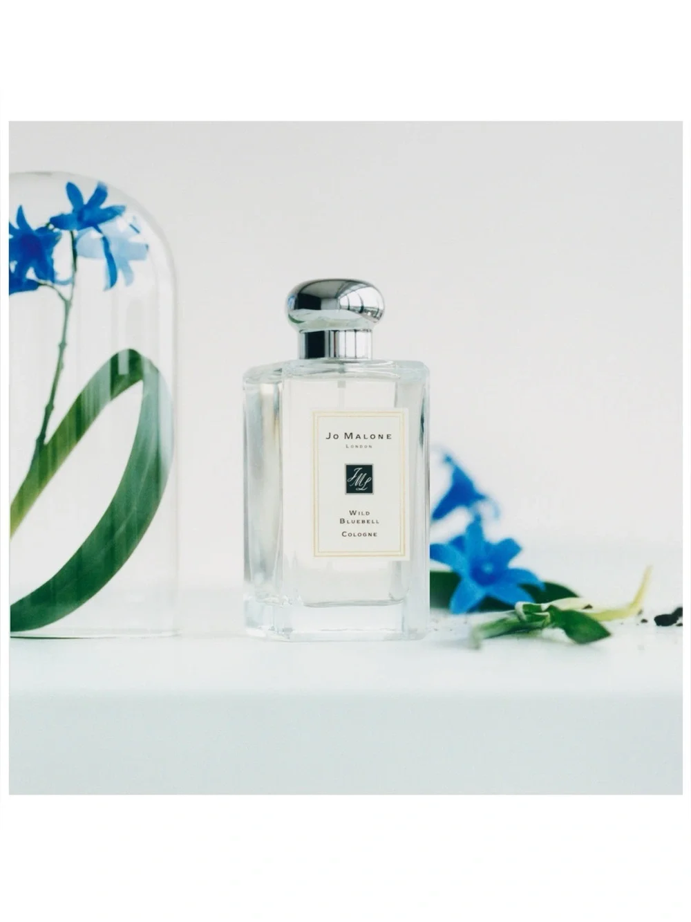 Jo Malone London Wild Bluebell Cologne Lg Bottle NWOB